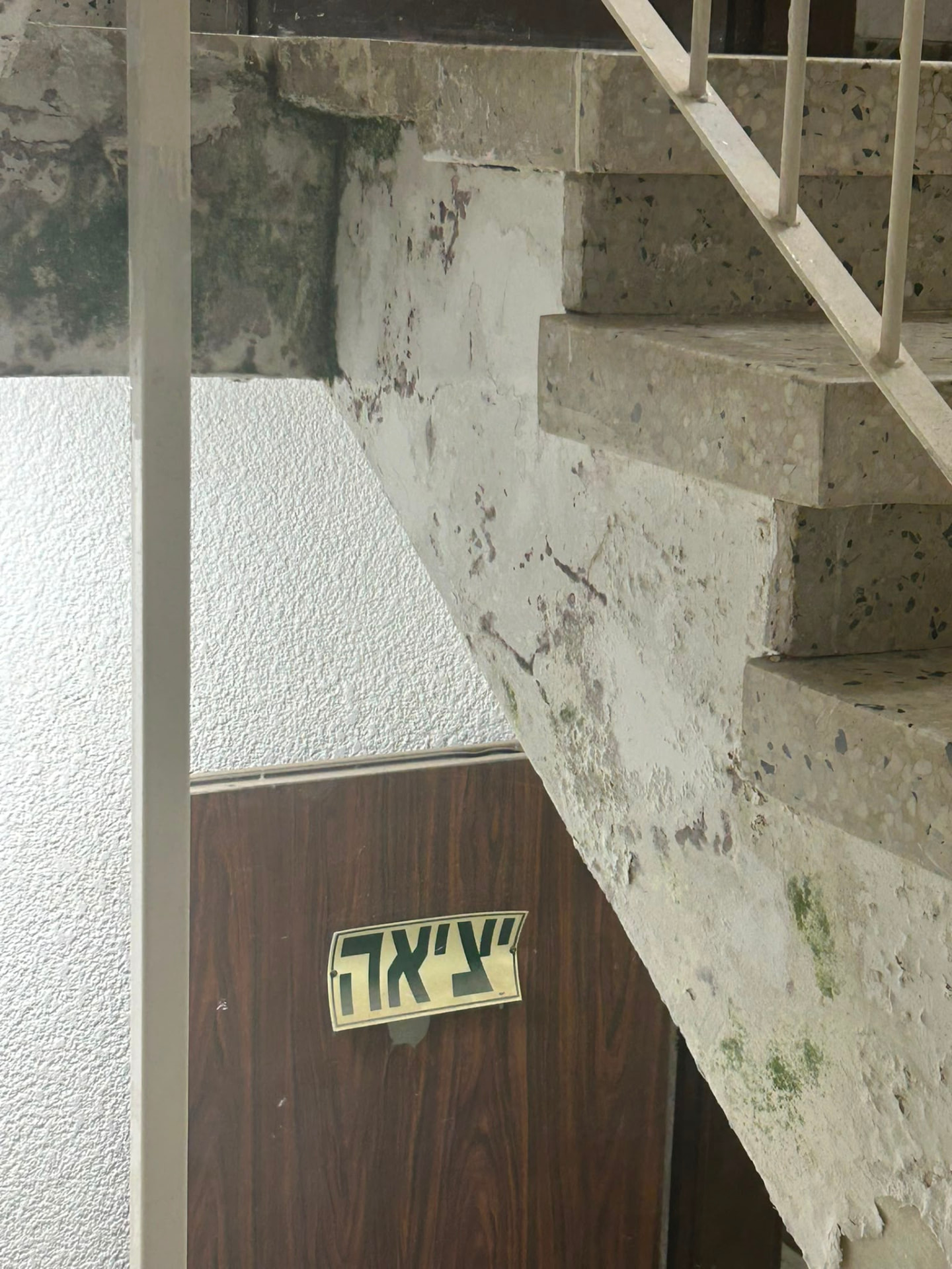 חדר מדרגות עם רטיבות ועובש בקירות ובתקרה